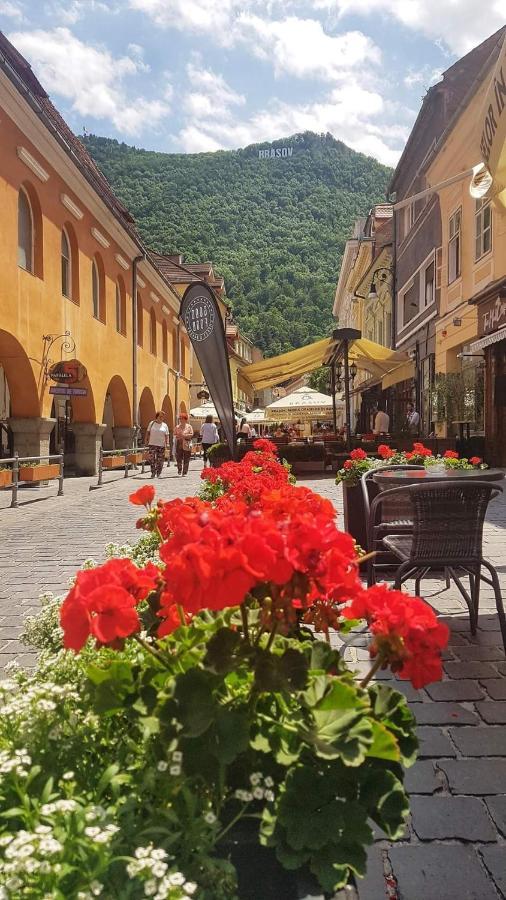 Avantgarden Brasov, Perfect Home - 1 Room Apartment エクステリア 写真