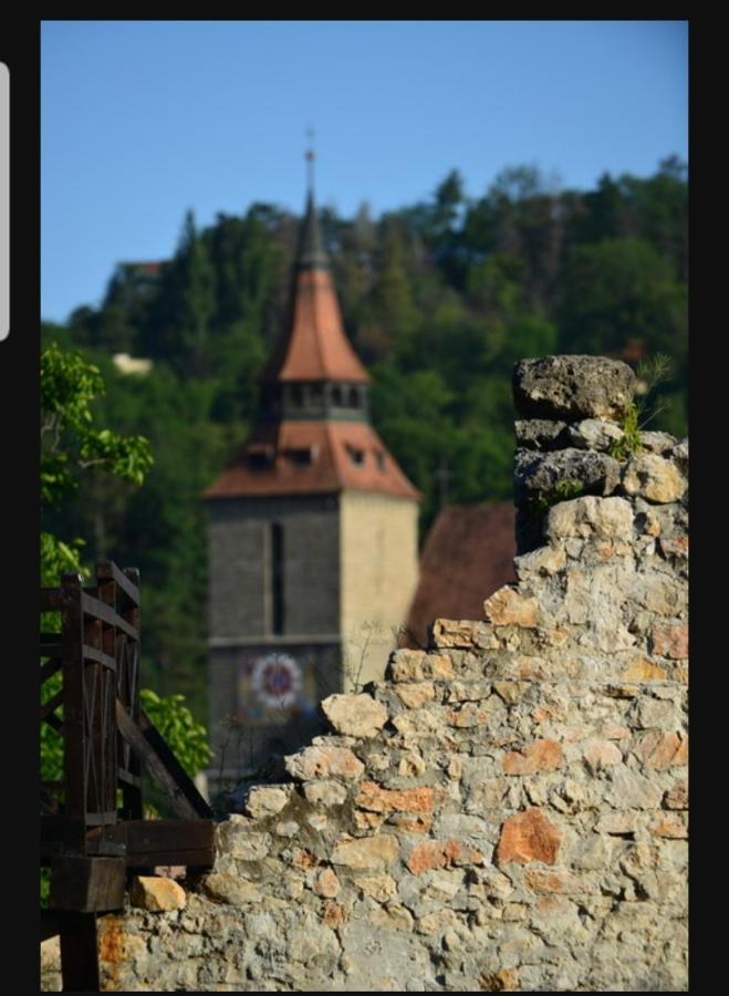 Avantgarden Brasov, Perfect Home - 1 Room Apartment エクステリア 写真