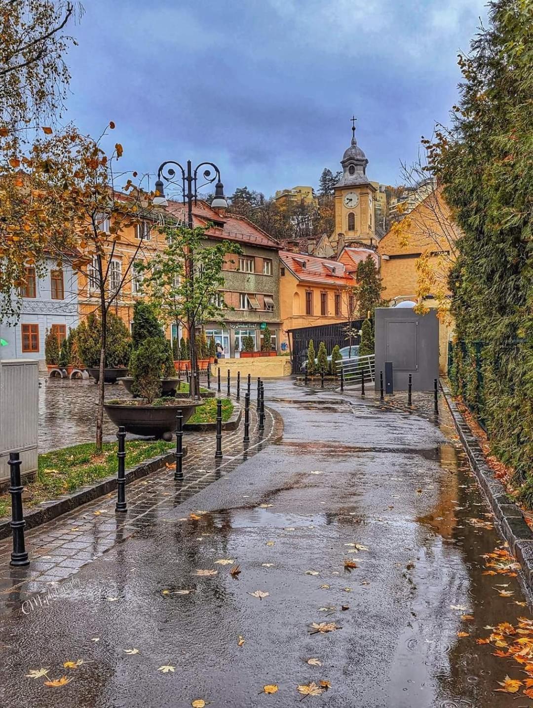 Avantgarden Brasov, Perfect Home - 1 Room Apartment エクステリア 写真